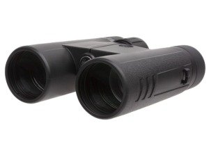 SIG SAUER Buckmasters Bino 10X42 Black
